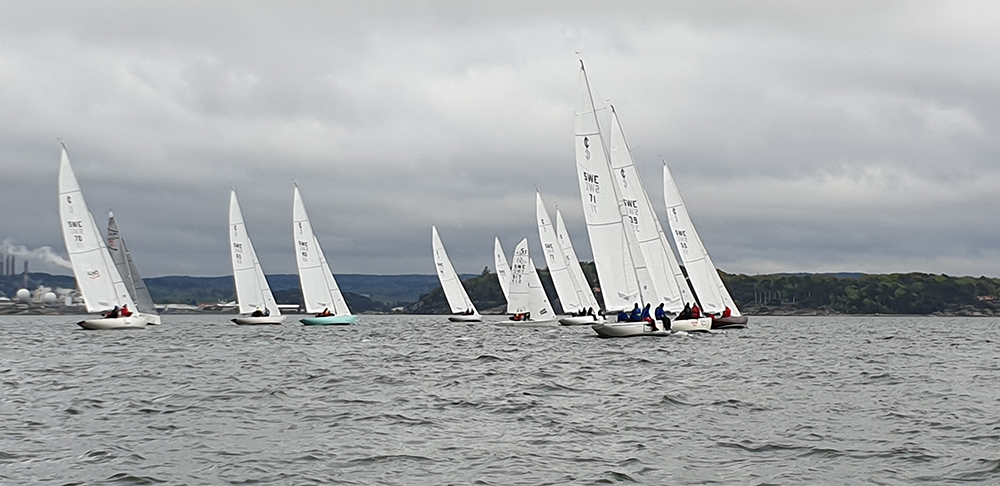In the Thursday night races run the Stenungsund SC, the IOD fleet is by far the largest one-design group.